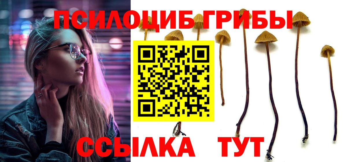 Псилоцибиновые грибы прущие грибы  Вход с VPN  Октябрьский 